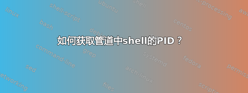 如何获取管道中shell的PID？ 