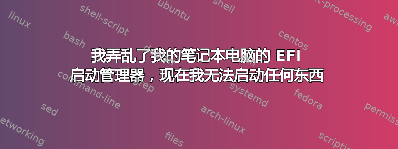 我弄乱了我的笔记本电脑的 EFI 启动管理器，现在我无法启动任何东西