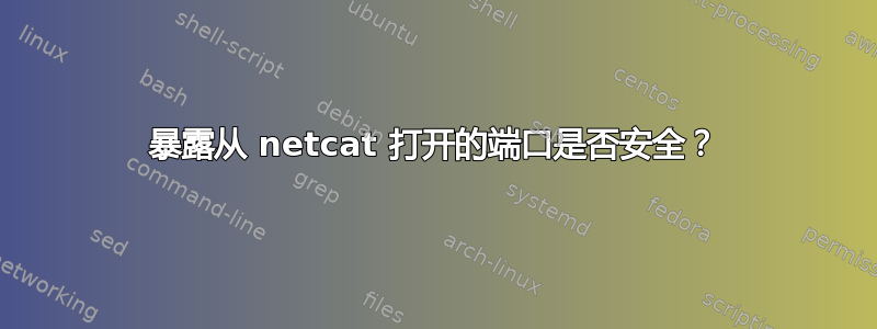 暴露从 netcat 打开的端口是否安全？