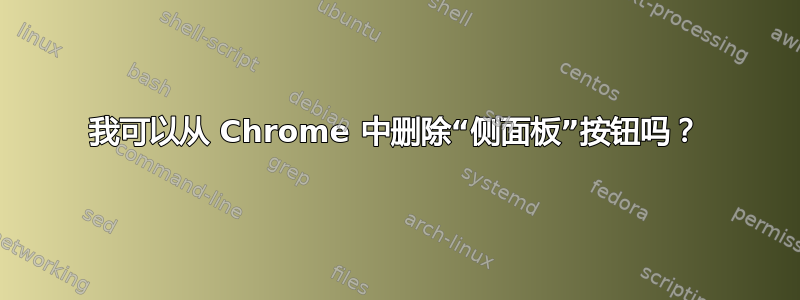 我可以从 Chrome 中删除“侧面板”按钮吗？