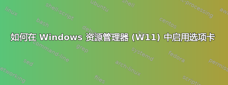 如何在 Windows 资源管理器 (W11) 中启用选项卡