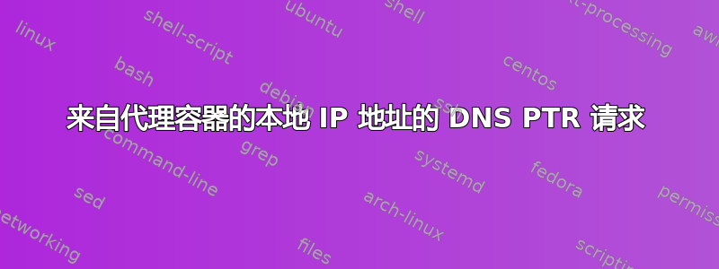 来自代理容器的本地 IP 地址的 DNS PTR 请求