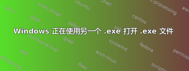 Windows 正在使用另一个 .exe 打开 .exe 文件