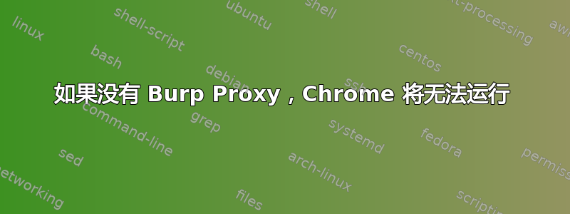 如果没有 Burp Proxy，Chrome 将无法运行