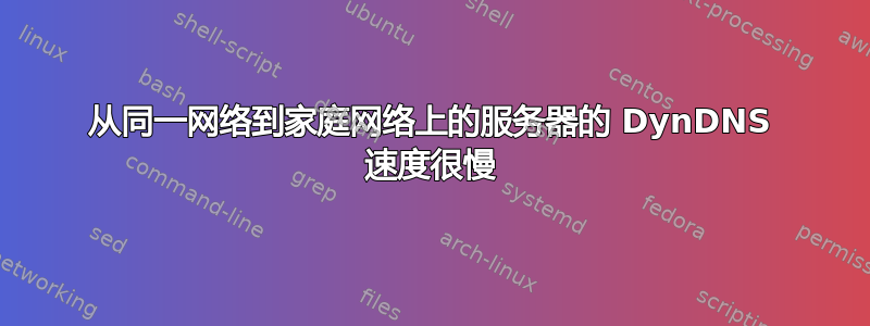 从同一网络到家庭网络上的服务器的 DynDNS 速度很慢