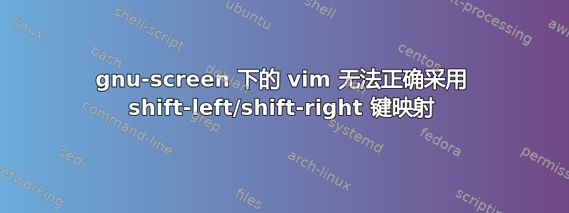 gnu-screen 下的 vim 无法正确采用 shift-left/shift-right 键映射