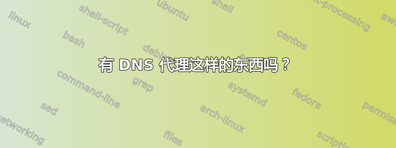 有 DNS 代理这样的东西吗？