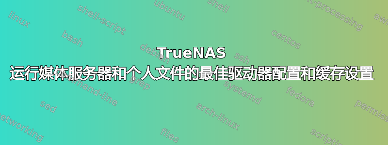 TrueNAS 运行媒体服务器和个人文件的最佳驱动器配置和缓存设置