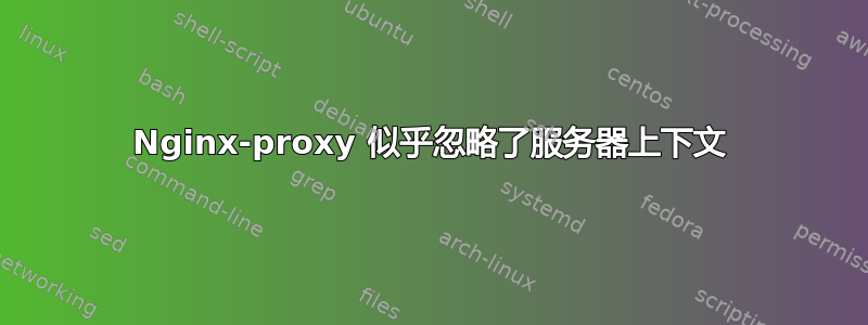 Nginx-proxy 似乎忽略了服务器上下文