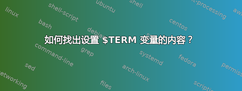 如何找出设置 $TERM 变量的内容？