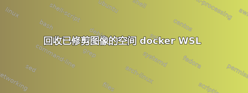 回收已修剪图像的空间 docker WSL