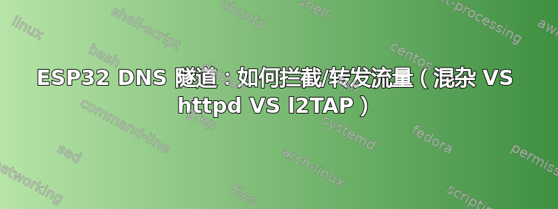 ESP32 DNS 隧道：如何拦截/转发流量（混杂 VS httpd VS l2TAP）