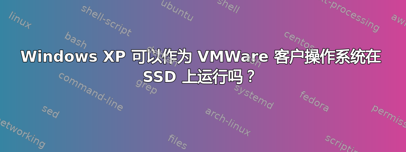 Windows XP 可以作为 VMWare 客户操作系统在 SSD 上运行吗？