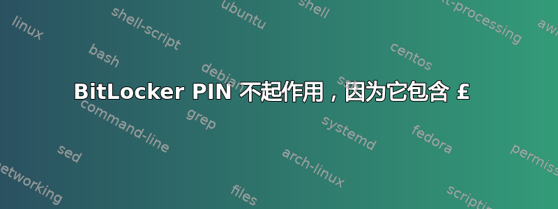 BitLocker PIN 不起作用，因为它包含 £ 