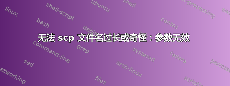 无法 scp 文件名过长或奇怪：参数无效