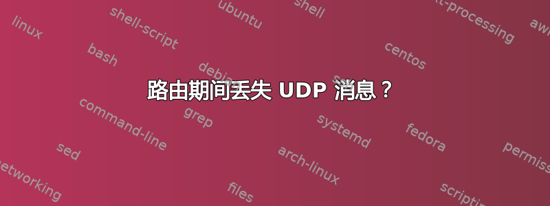 路由期间丢失 UDP 消息？