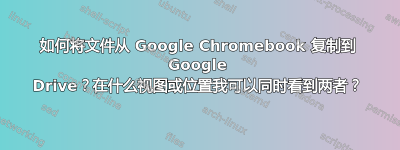 如何将文件从 Google Chromebook 复制到 Google Drive？在什么视图或位置我可以同时看到两者？