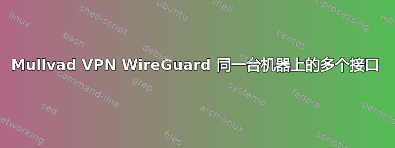 Mullvad VPN WireGuard 同一台机器上的多个接口