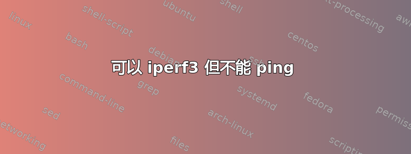 可以 iperf3 但不能 ping