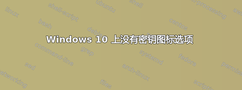 Windows 10 上没有密钥图标选项