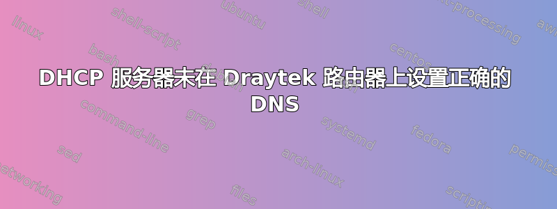 DHCP 服务器未在 Draytek 路由器上设置正确的 DNS