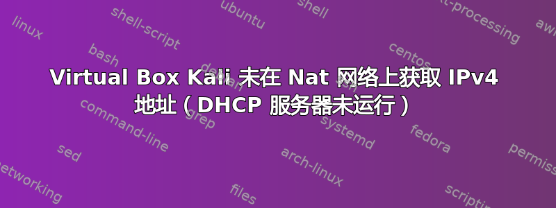 Virtual Box Kali 未在 Nat 网络上获取 IPv4 地址（DHCP 服务器未运行）