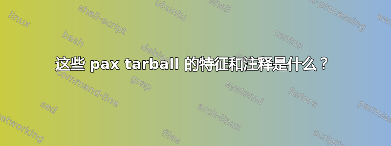 这些 pax tarball 的特征和注释是什么？