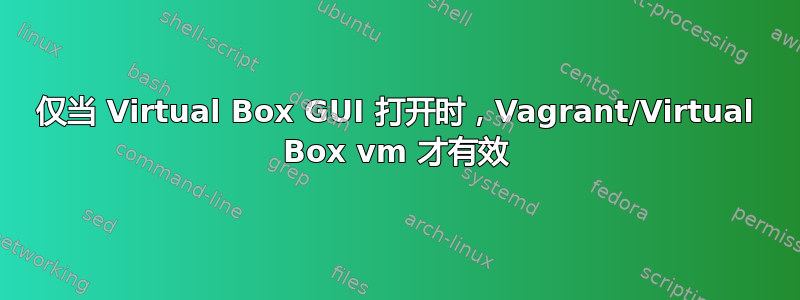 仅当 Virtual Box GUI 打开时，Vagrant/Virtual Box vm 才有效