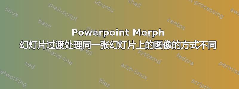 Powerpoint Morph 幻灯片过渡处理同一张幻灯片上的图像的方式不同