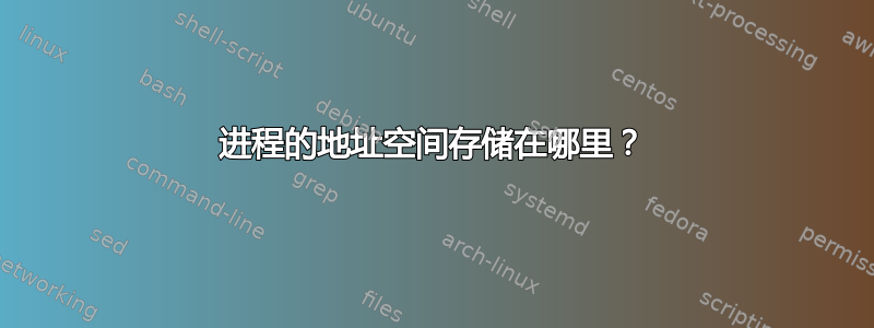 进程的地址空间存储在哪里？