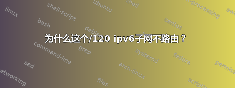 为什么这个/120 ipv6子网不路由？