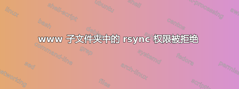 www 子文件夹中的 rsync 权限被拒绝