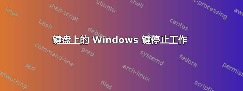 键盘上的 Windows 键停止工作