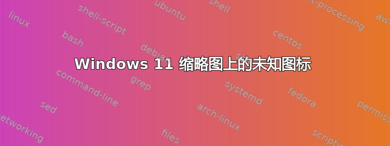 Windows 11 缩略图上的未知图标