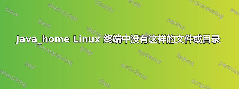 Java_home Linux 终端中没有这样的文件或目录