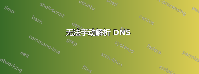 无法手动解析 DNS