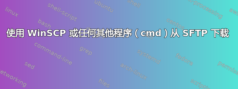 使用 WinSCP 或任何其他程序（cmd）从 SFTP 下载 