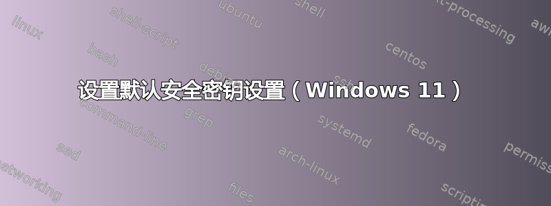 设置默认安全密钥设置（Windows 11）