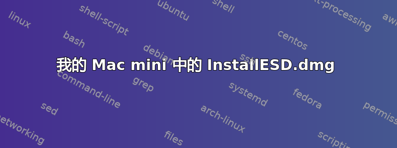 我的 Mac mini 中的 InstallESD.dmg