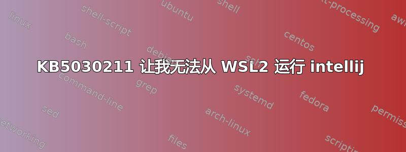 KB5030211 让我无法从 WSL2 运行 intellij