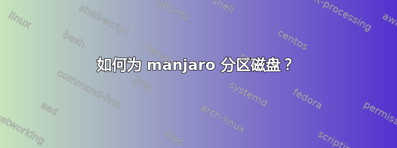 如何为 manjaro 分区磁盘？