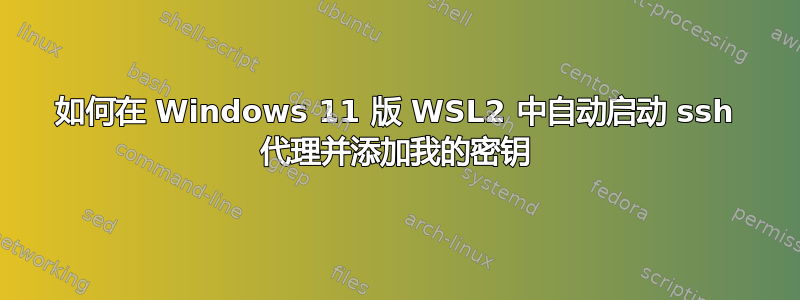 如何在 Windows 11 版 WSL2 中自动启动 ssh 代理并添加我的密钥