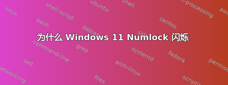 为什么 Windows 11 Numlock 闪烁