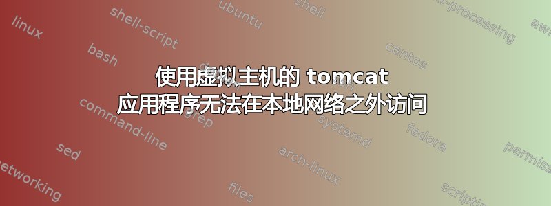 使用虚拟主机的 tomcat 应用程序无法在本地网络之外访问