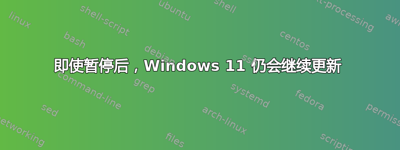 即使暂停后，Windows 11 仍会继续更新