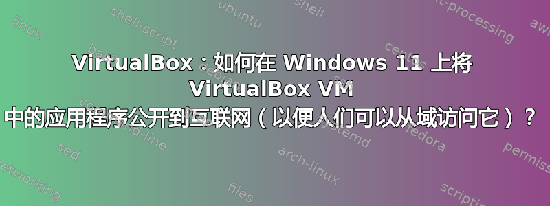 VirtualBox：如何在 Windows 11 上将 VirtualBox VM 中的应用程序公开到互联网（以便人们可以从域访问它）？