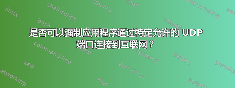 是否可以强制应用程序通过特定允许的 UDP 端口连接到互联网？