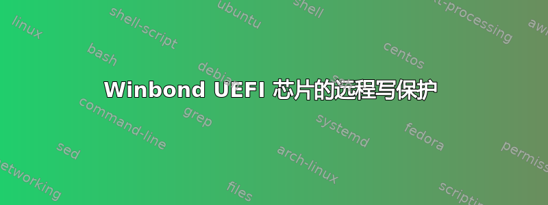 Winbond UEFI 芯片的远程写保护