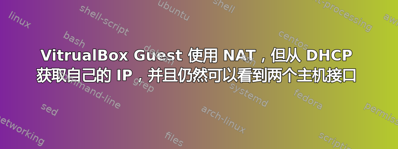 VitrualBox Guest 使用 NAT，但从 DHCP 获取自己的 IP，并且仍然可以看到两个主机接口