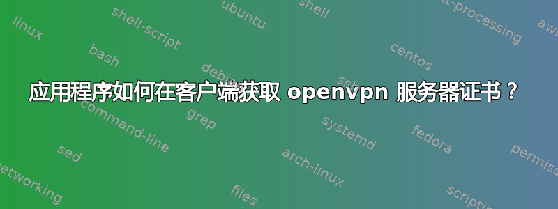 应用程序如何在客户端获取 openvpn 服务器证书？